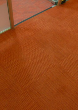 Hotovo - čistý koberec bez poskvrnky