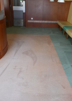 Hotovo - koberec je hloubkově čistý a suchý